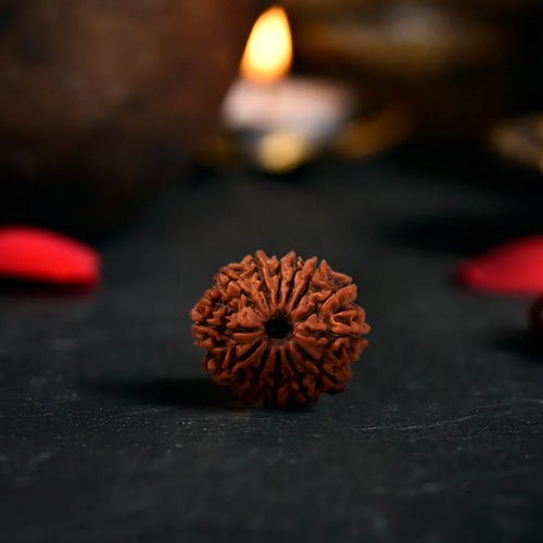 Rudraksha